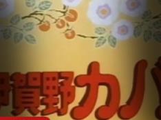 （忍者小英雄）动漫